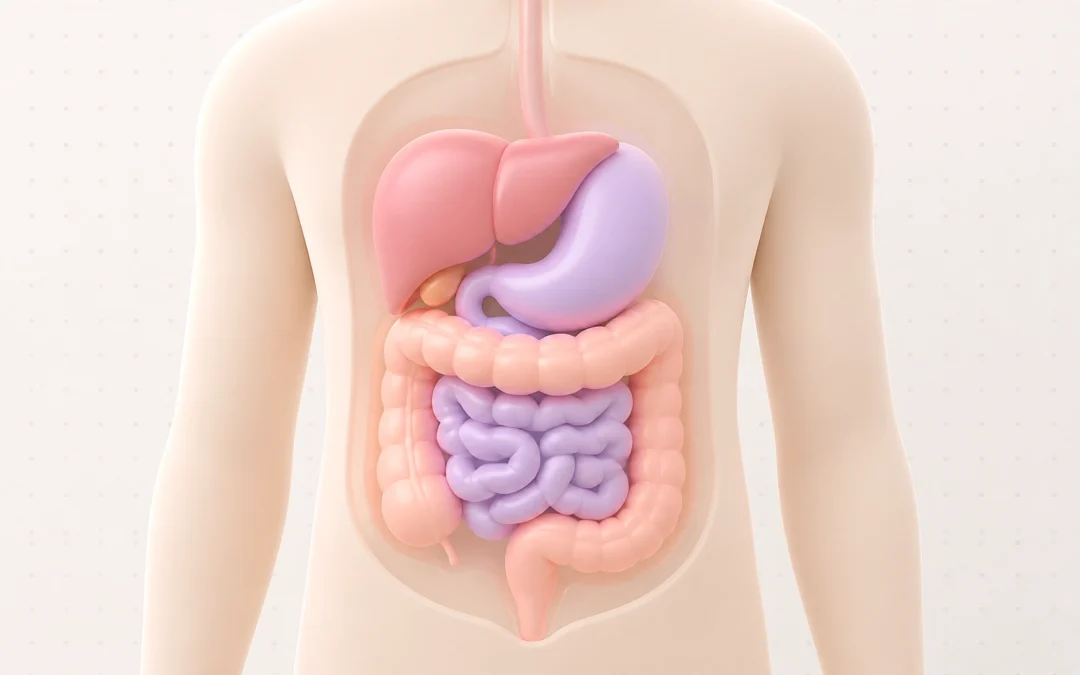 7 Mistakes You’re Making with Your Holistic Health Habits (and How to Fix Your Gut Health)
